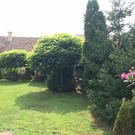 Villa Nirvana Palić Dış mekan fotoğraf