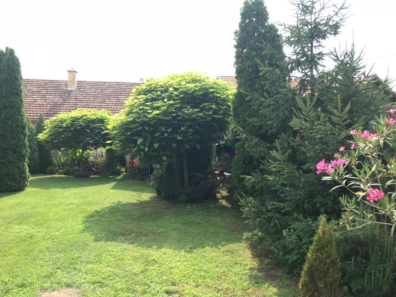 Villa Nirvana Palić Dış mekan fotoğraf